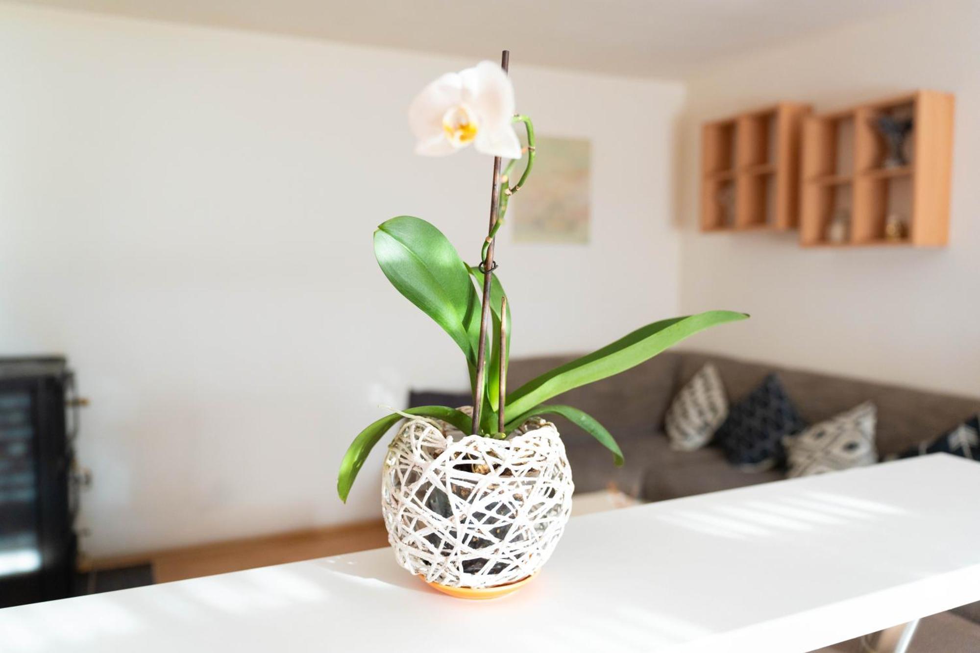Apartman Lili Knin Eksteriør billede